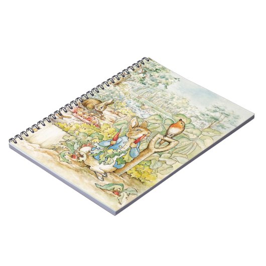 Carnet Pierre le lapin (Côté gauche)