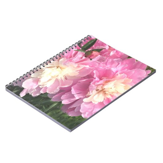 Carnet Pies roses (Côté gauche)