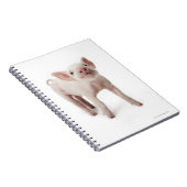 Carnet Pig debout en regardant (Côté Droit)