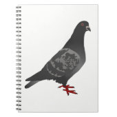 Carnet Pigeon (Devant)