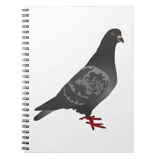 Carnet Pigeon (Devant)