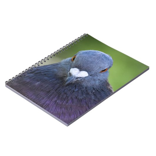 Carnet Pigeon (Côté gauche)