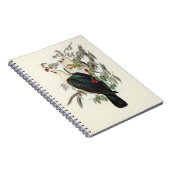 Carnet Pigeon à tête blanche, (Côté Droit)