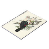 Carnet Pigeon à tête blanche, (Côté gauche)