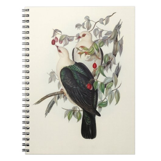 Carnet Pigeon à tête blanche, (Devant)