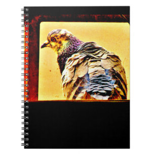 Carnet Pigeon coloré