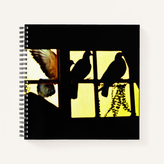 Carnet Pigeon en vol (Devant)