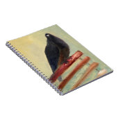 Carnet Pigeon royal 2013 de cour (Côté Droit)