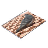 Carnet Pigeon sur le toit (Côté gauche)