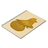 Carnet Pigeon Trompette Jaune (Côté gauche)