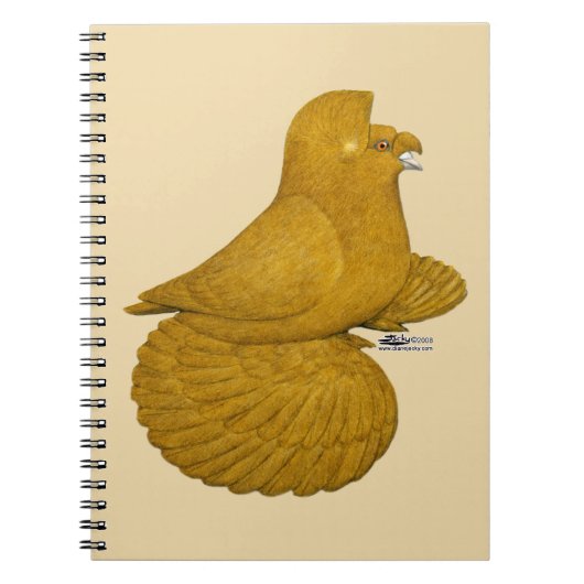Carnet Pigeon Trompette Jaune (Devant)