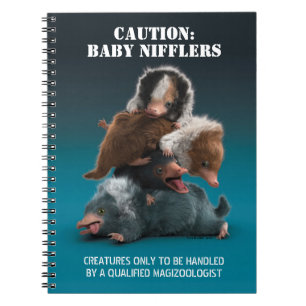 Carnet Pile bébé NIFFLER™