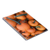 Carnet Pile citrouille ! (Côté Droit)