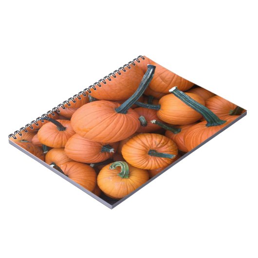 Carnet Pile citrouille ! (Côté gauche)