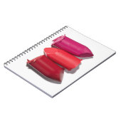 Carnet Pile de rouge à lèvres cassé (Côté gauche)