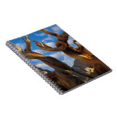 Carnet Pin Bristlecone (Côté Droit)