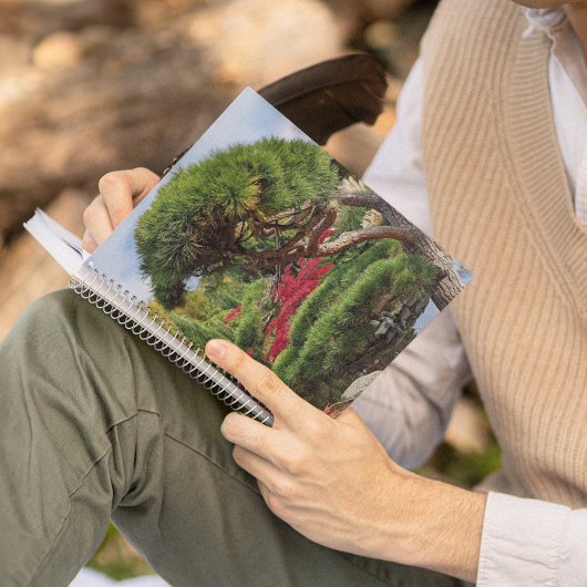 Carnet Pin noir et érable japonais rouge