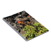 Carnet Pinceau indien (Côté Droit)