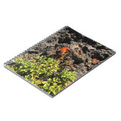 Carnet Pinceau indien (Côté gauche)