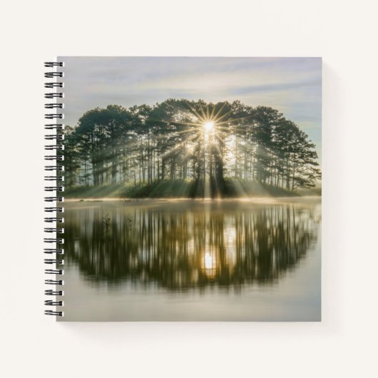Carnet Pine Island Sunray (Devant)