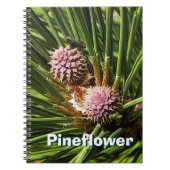 Carnet Pinefer (Devant)