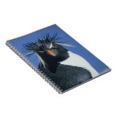 Carnet Pingouin de Rockhopper (Eudyptes chrysocome) (Côté Droit)