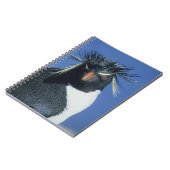 Carnet Pingouin de Rockhopper (Eudyptes chrysocome) (Côté gauche)