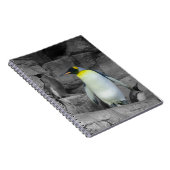 Carnet Pingouin d'empereur (Côté Droit)