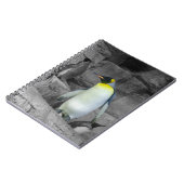 Carnet Pingouin d'empereur (Côté gauche)