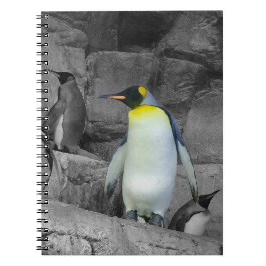 Carnet Pingouin d'empereur (Devant)