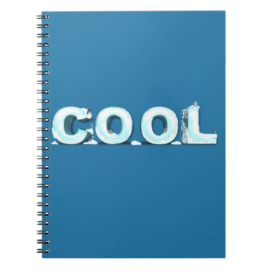 Carnet Pingouins cool (Devant)