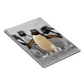 Carnet Pingouins de Rockhopper (Côté Droit)