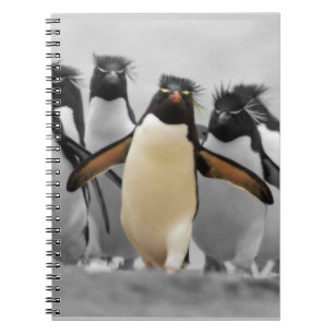 Carnet Pingouins de Rockhopper