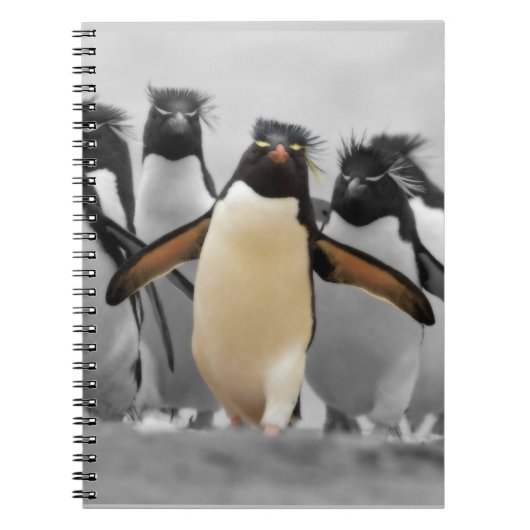 Carnet Pingouins de Rockhopper (Devant)