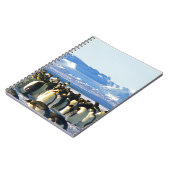 Carnet Pingouins empereurs (Côté gauche)