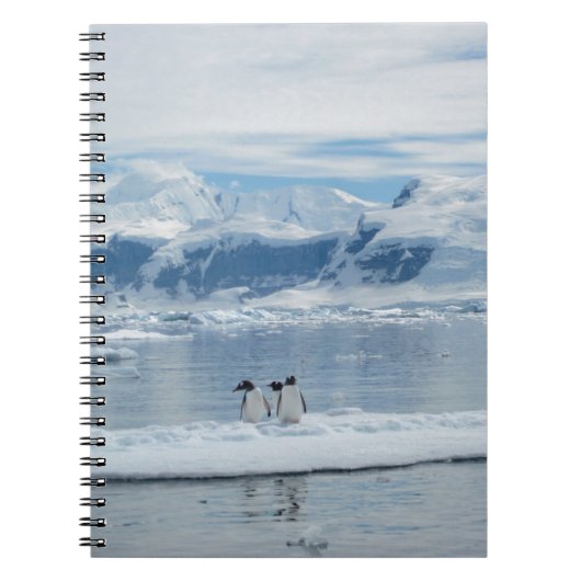 Carnet Pingouins sur un iceberg (Devant)