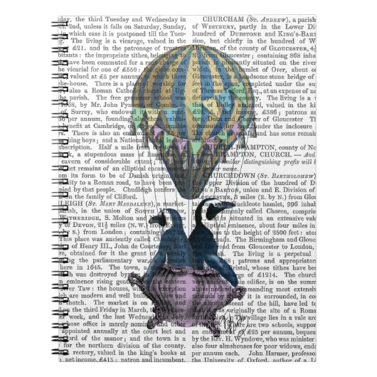 Carnet Pingouins volants (Devant)