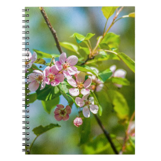 Carnet Pink apple blossom flowers (Devant)