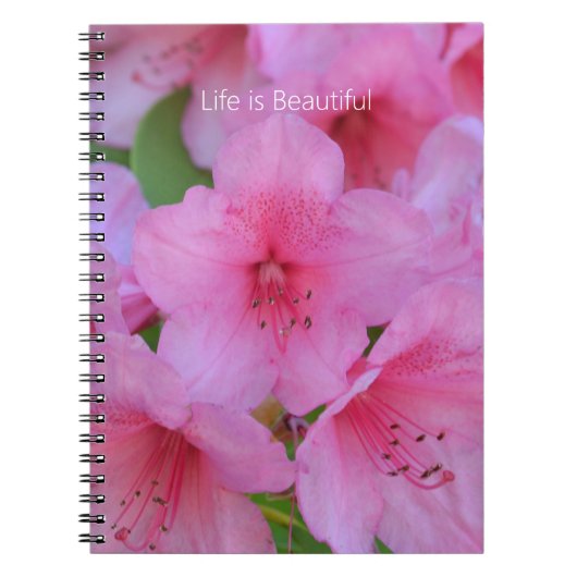 Carnet Pink Azalea Flowers (my photography) (Devant)