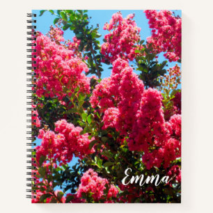 Carnet Pink Crape Myrtle Tree Flowers Photographie