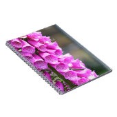 Carnet Pink Foxglove Flowers (my photography) (Côté Droit)