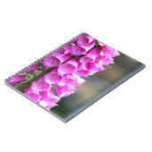 Carnet Pink Foxglove Flowers (my photography) (Côté gauche)
