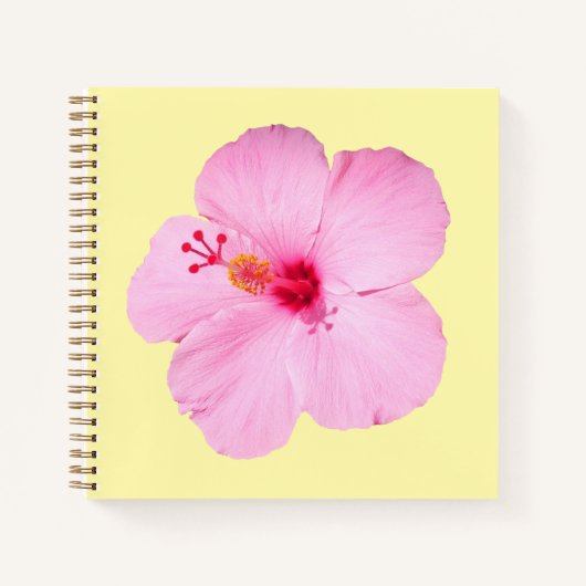 Carnet Pink Hibiscus Tropical Flower (Devant)