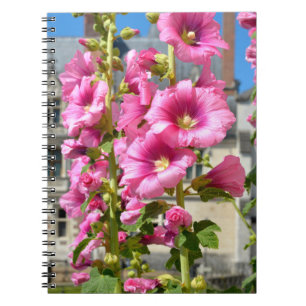 Carnet Pink hollyhocks fleurs carte postale autocollant c
