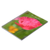 Carnet Pink Iceland Poppy Flower Garden (my photography) (Côté gauche)