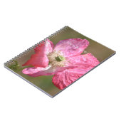 Carnet Pink Iceland Poppy Flower (my photography) (Côté gauche)