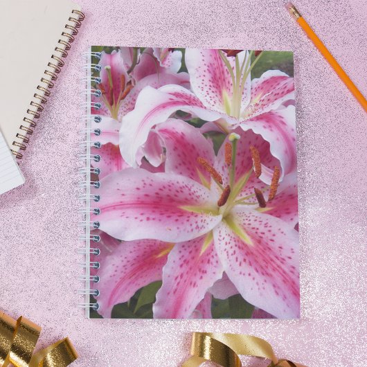 Carnet Pink Oriental Lilies Floral