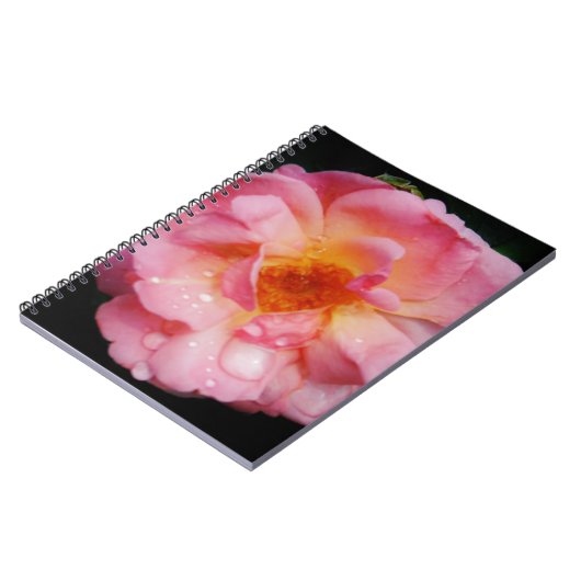 Carnet Pink Rose w/ Dew Drops Black Background (Côté gauche)