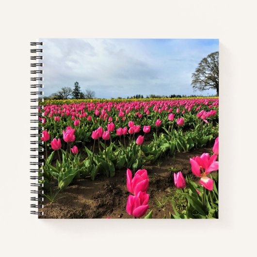 Carnet Pink Tulip Field (Devant)