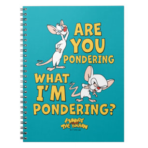 Carnet Pinky et le cerveau   Vous Pensez ?